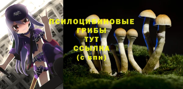 тгк Великий Новгород