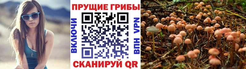 ОМГ ОМГ онион Клин Галлюциногенные грибы ЛСД