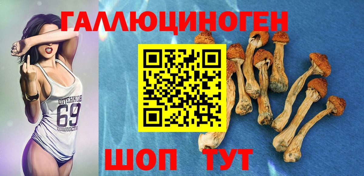 Галлюциногенные грибы Magic Shrooms  Вход с VPN  Галлюциногенные грибы Cubensis  Клин 