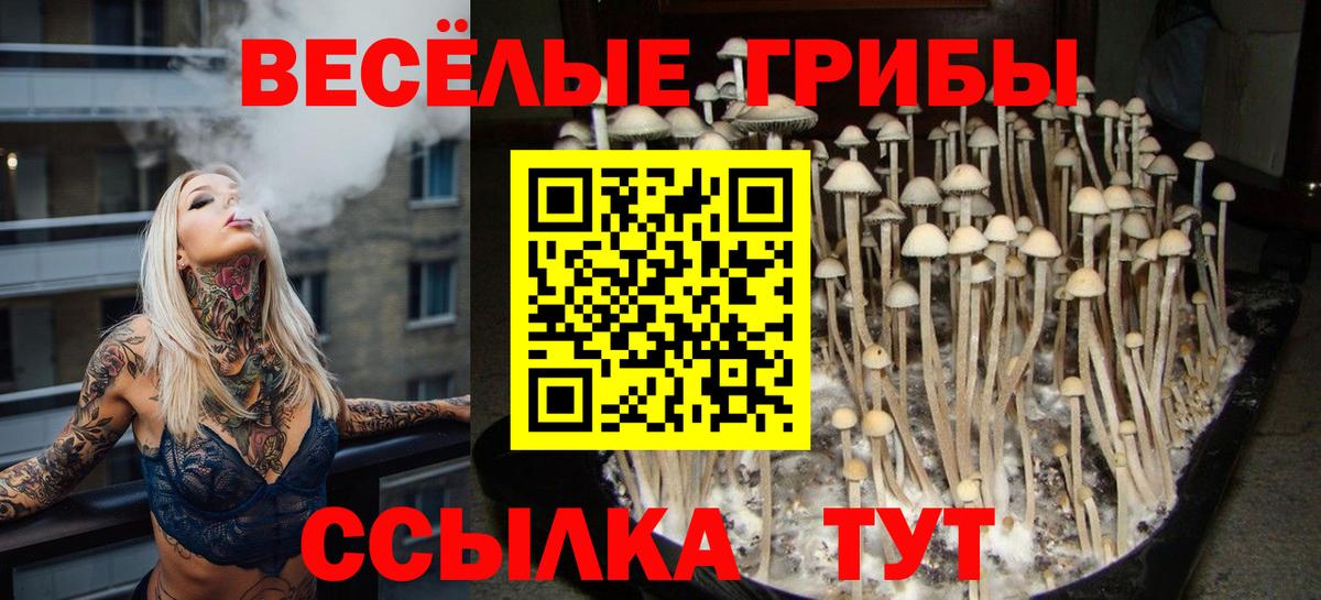 Галлюциногенные грибы Psilocybine cubensis Клин